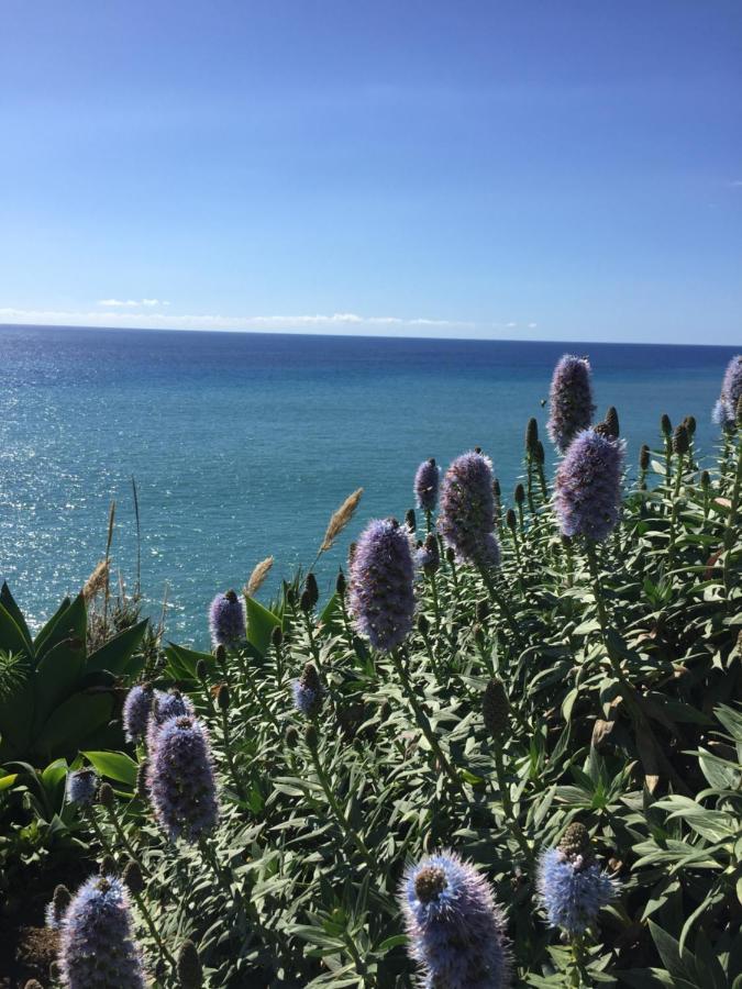 Calheta Ocean View Family Apartment - Air Condition Estreito Da Calheta Екстериор снимка